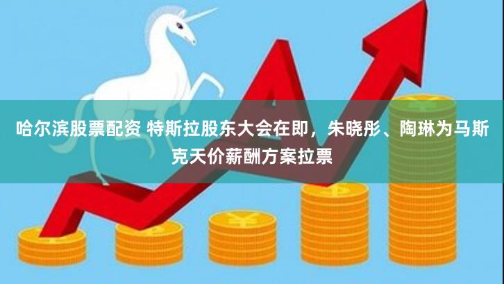 哈尔滨股票配资 特斯拉股东大会在即，朱晓彤、陶琳为马斯克天价薪酬方案拉票