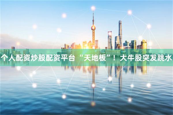 个人配资炒股配资平台 “天地板”！大牛股突发跳水