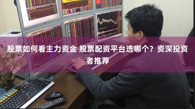 股票如何看主力资金 股票配资平台选哪个？资深投资者推荐