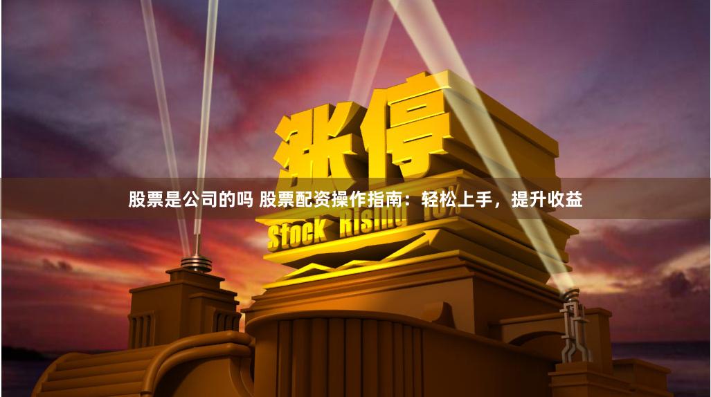股票是公司的吗 股票配资操作指南：轻松上手，提升收益
