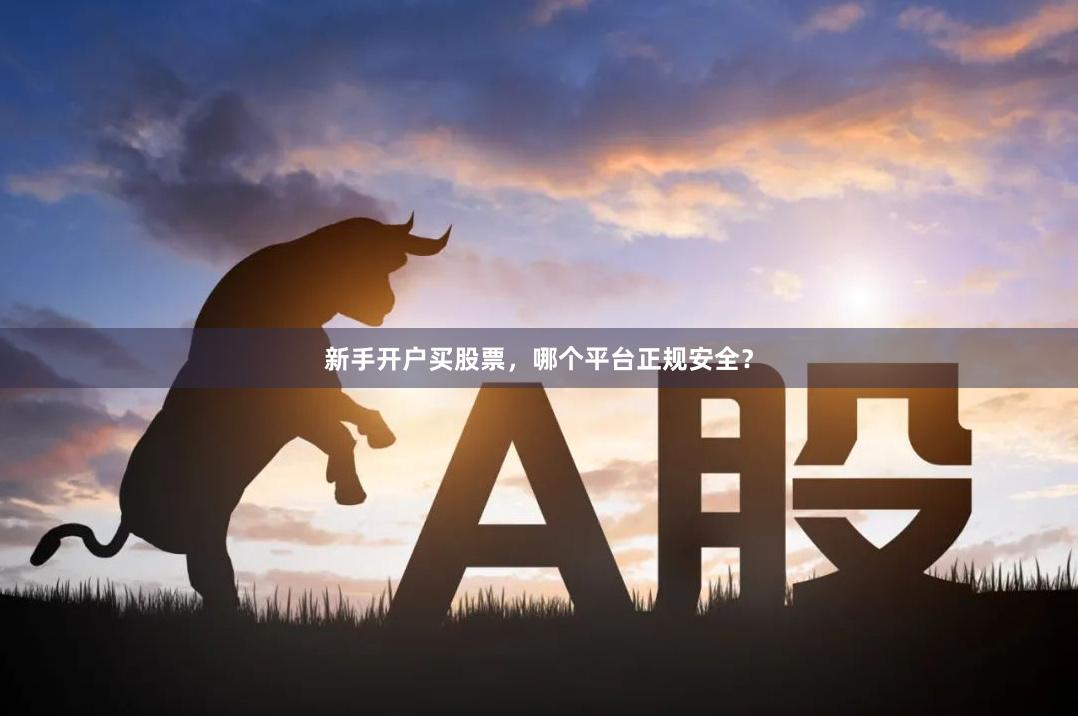 新手开户买股票，哪个平台正规安全？